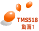 TMS518 動画１