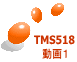 TMS518 P